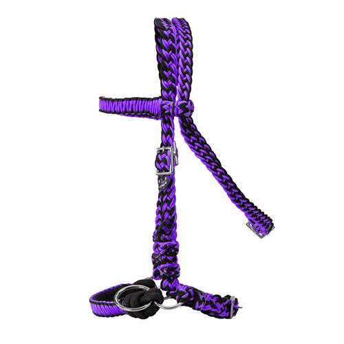 TEX4526C BKPU-01